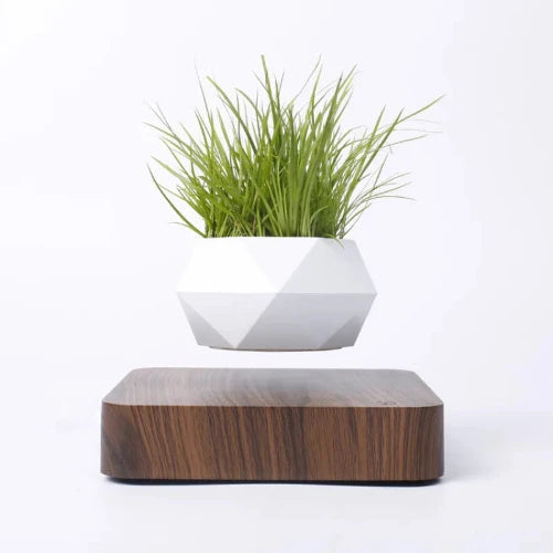 Solvee LevitaPlant™ - Instant Magnetic Levitation