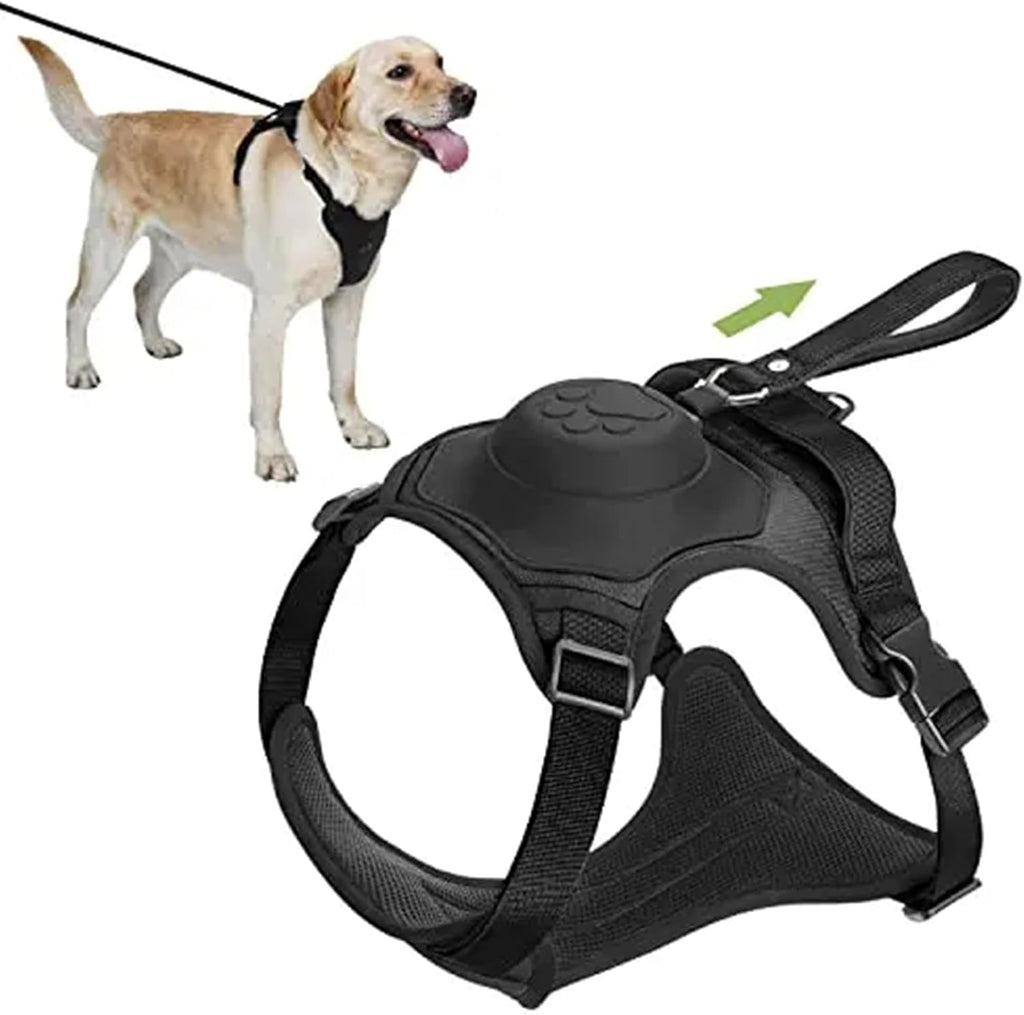 Solvee SafeStride™ - Shock Absorption Safety