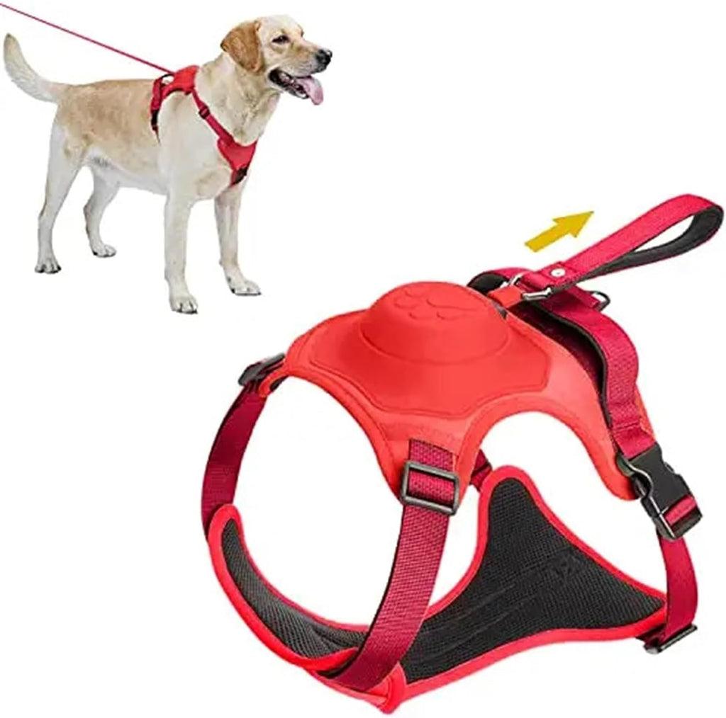 Solvee SafeStride™ - Shock Absorption Safety